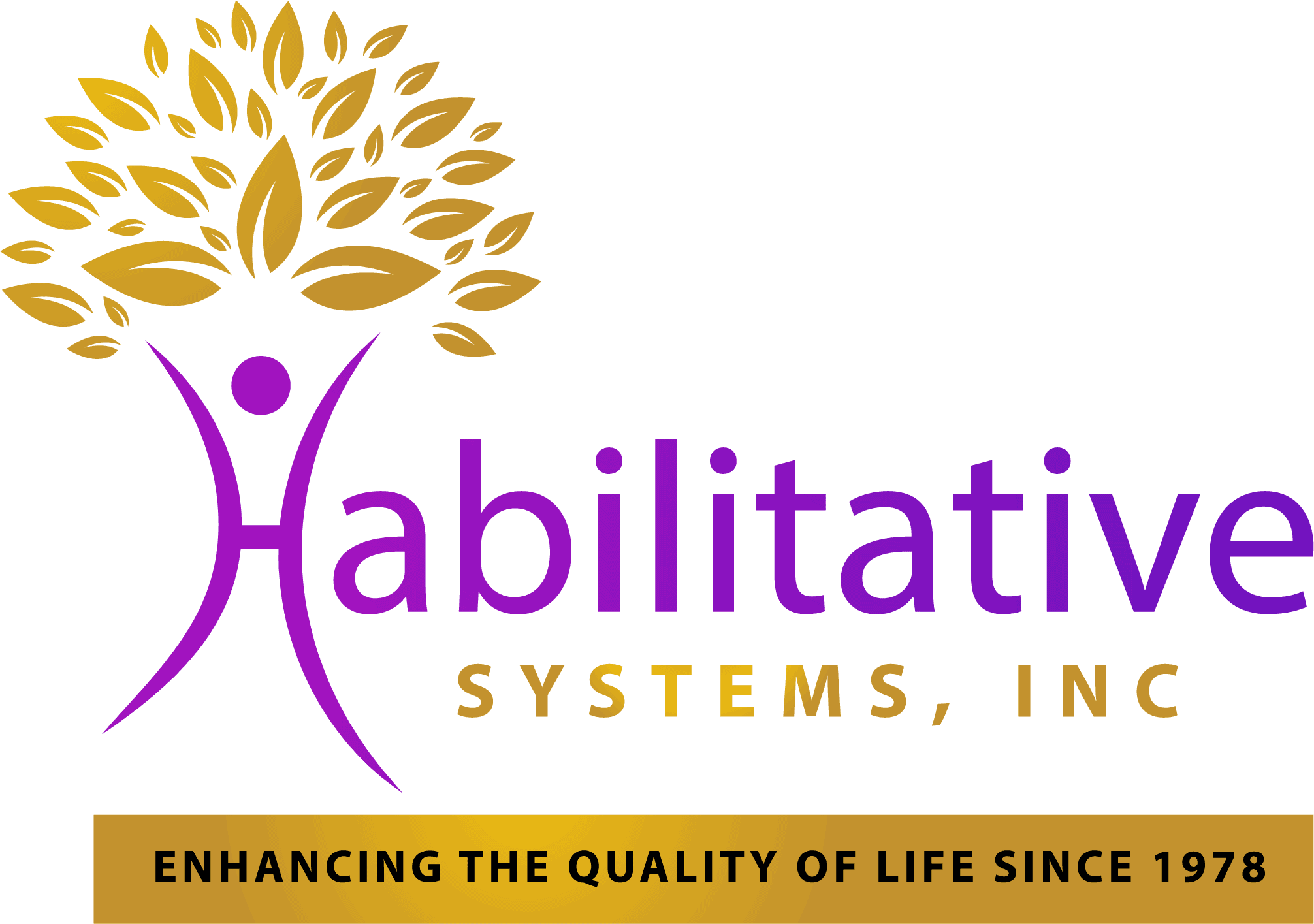 habilitative-systems new logo HSI
